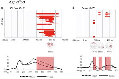 Does the Relation between Rapid Automatized Naming and Reading Depend on Age or on Reading Level? A Behavioral and ERP Study